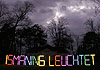 Lichtinstallation im Schlosspark, Februar 2007