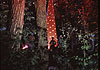Ismaning leuchtet, Mai 2007
